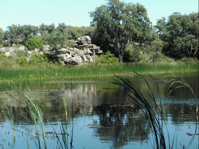 Actividades para niños en Castellón. Excursión La Dehesa